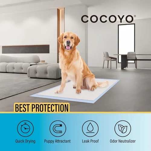 Miniatura 3 de COCOYO Best Value - Almohadillas de entrenamiento para perros de 22 x 22 pulgadas, 50 unidades, almohadillas para orina de perro, almohadillas