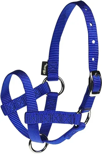 Weaver Leather Unisex adulto ganado Halter Nylon ALPACA 5 8 pulgadas LG BL, azul, grande paquete de 1 US