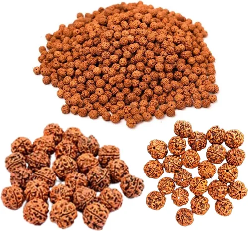 Miniatura 9 de Naisha Natural Rudraksh - 121 cuentas sueltas de Rudraksha Mala, cuentas de oración genuinas de meditación del Himalaya, cuentas Bodhi de 0.35-0.55