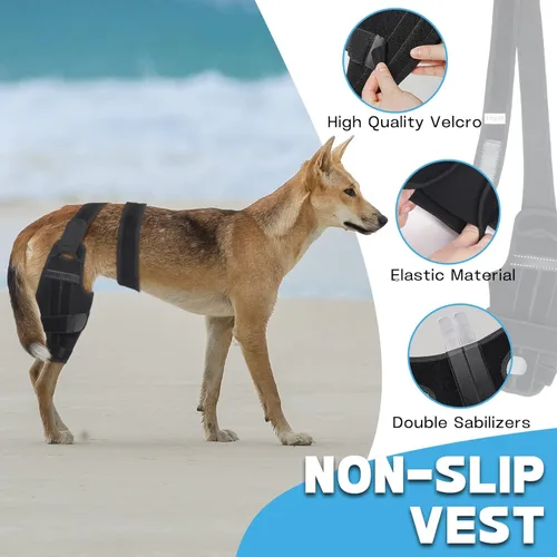 Miniatura 2 de Rodillera ajustable para perro ACL - Soporte de pierna trasera para recuperación del ligamento cruzado, artritis y alivio del dolor articular Derecha