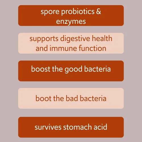 Miniatura 5 de Bacillus B3 Probiótico a base de esporas + enzimas para la salud intestinal y el apoyo del microbioma, probiótico diario estable con Bacillus
