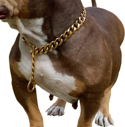 Miniatura 10 de Cierres de langosta fuertes ajustables para perros, collar de titanio, para entrenamiento, caminar, de metal, a prueba de masticación, para perros