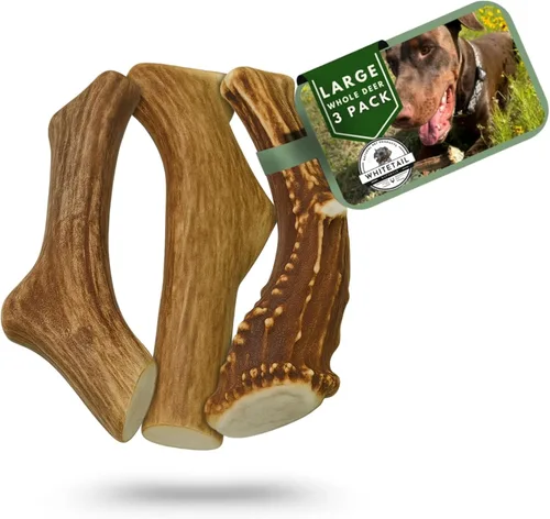 Miniatura 15 de Whitetail Naturals - Paquete de 3 masticables medianos para perros con cuernos de ciervo - Cuernos para perros medianos - Huesos de perro