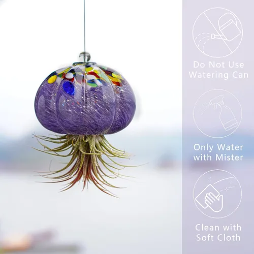 Miniatura 4 de H&D HYALINE & DORA Terrario de cristal soplado a mano colgante con diseño de medusa de aire para plantas de aire, decoración para jardín, porche