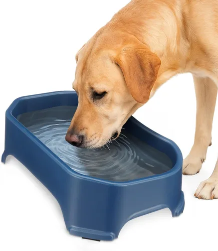 Miniatura 14 de Neater Pet Brands Cuencos para gatos de gran capacidad, cuenco de agua para gatos, reptiles, pollos, aves y animales pequeños, cuenco de comida