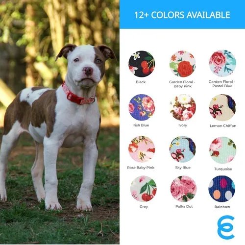 Miniatura 5 de Blueberry Pet 10+ Patrones Primavera Aroma Floral Collares, Collares Personalizados