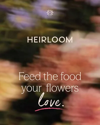 Miniatura 8 de Heirloom Roses Founder's Fertilizante para peces, alimento vegetal para plantas, fertilizante líquido orgánico de emulsión, fertilizantes de jardín