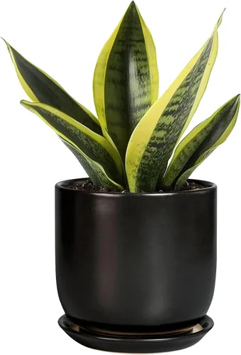 Miniatura 32 de Maceta de Cerámica para Plantas de Interior de 5 Pulgadas - Maceta Redonda para Plantas Suculentas con Agujero de Drenaje y Platillo, Decoración