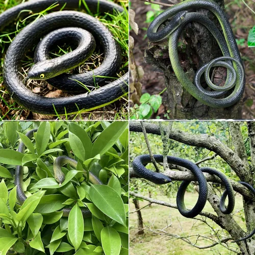 Miniatura 3 de 6 piezas de serpientes de goma grandes realistas de plástico falso, juguetes de serpiente para mantener a los pájaros alejados para accesorios