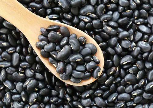 Miniatura 4 de Food to Live Frijoles de tortuga negra, 8 onzas de frijoles secos enteros, germinables, veganos, kosher, a granel. Bajo en sodio. Gran fuente