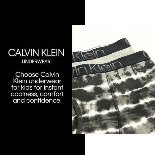 Miniatura 4 de Calvin Klein Paquete de 4 calzoncillos tipo bóxer para niño