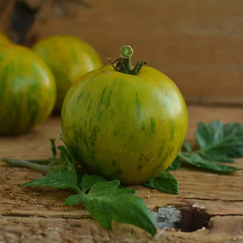 Green Zebra Tomato - 50 semillas - Variedad de reliquia y polinizada abierta, cultivadas en Estados Unidos, semillas de vegetales sin OMG para