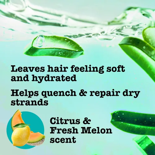 Miniatura 5 de Maui Moisture Heal & Hydrate + Shea Butter - Champú para reparar e hidratar profundamente el cabello rígido y rizado con aceites de coco y macademia.