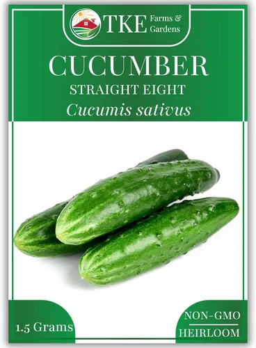 TKE Farms & Gardens - Semillas de pepino, 8 rectas, 55 semillas de pepino sin OMG, ideales para rebanar, ensaladas y encurtidos crujientes, incluye