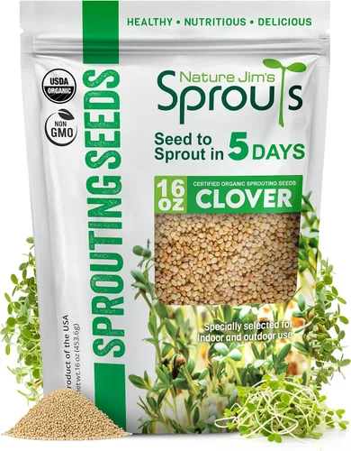 Nature Jims Sprouts Semillas de trébol – Semillas germinantes orgánicas sin OMG para semillas frescas y ricas en nutrientes, llenas de vitaminas,