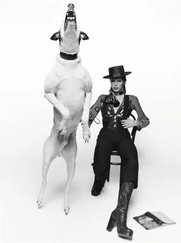 David Bowie Diamond Dogs - Impresión de portada del álbum | Varios tamaños | foto de música vintage, foto retro en blanco y negro, arte de pared,