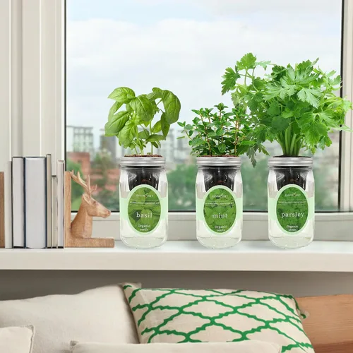 Miniatura 5 de Kit de cultivo de hierbas hidropónicas, kit de inicio de jardín de hierbas con riego automático en tarro de masón para interiores, jardín de hierbas