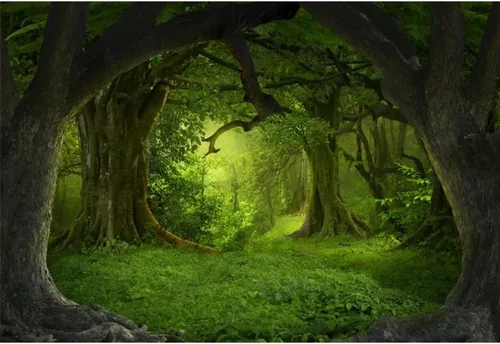 Leowefowa Telón de fondo verde de bosque de selva de 6 x 4 pies para cumpleaños, bosque encantado, pastizales verdes, fondo de fotografía de vinilo