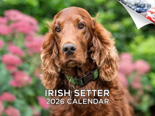 Miniatura 132 de Calendario 2025 2026 de cachorros Cocker Spaniel - Calendario mensual de pared de raza de perro - 12" x 24" abierto - Papel grueso sin sangrado