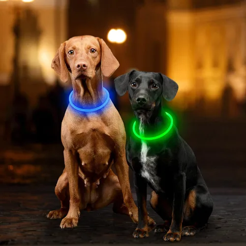Miniatura 6 de Collar para perro con luz, collar LED recargable para cortar, luz de seguridad para mascotas en caminatas nocturnas para perros pequeños, medianos
