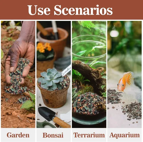 Miniatura 6 de Sukh Suelo de gránulos para suculentas hortícolas de 1 libra, mezcla de bonsái, rocas de lava, cactus y suelo, enmienda de mezcla para macetas