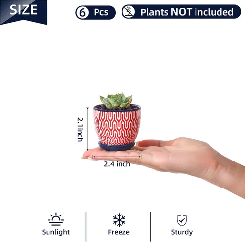 Miniatura 3 de Selamica Macetas de cerámica para suculentas de 2.4 pulgadas, mini macetas para plantas de cactus con agujeros de drenaje y platillos, decoración