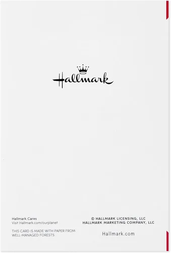Miniatura 5 de Hallmark - Paquete de tarjetas para el día de San Valentín, diseño de corazón