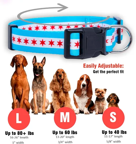 Miniatura 3 de Native Pup Collar de perro con bandera de Chicago (Chicago, mediano)