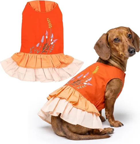 Miniatura 122 de Parisian Pet Chambray - Vestido para perro - Ligero sin mangas para perro, niña, talla XS Chambray en general
