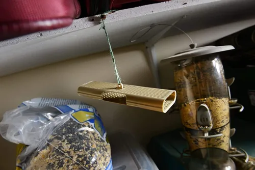 Miniatura 7 de RESCUE! Trampas para polillas de despensa y semillas de pájaro con señuelo de feromonas - 2 trampas