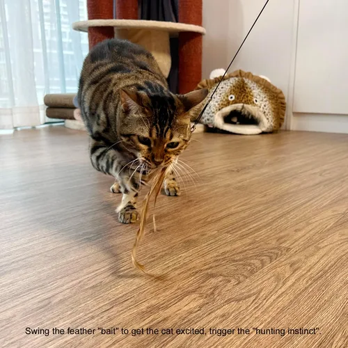 Miniatura 6 de TTcat Juguetes de varita de plumas para gatos, juguete retráctil con 4 recambios de plumas, juguete interactivo para gatos de interior para jugar a