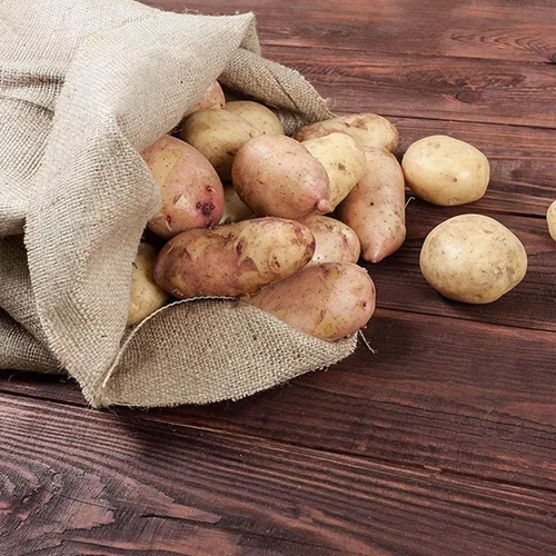 Miniatura 5 de Bekith Sacos de arpillera para patatas de alta resistencia de 24 x 39 pulgadas, juego de 6