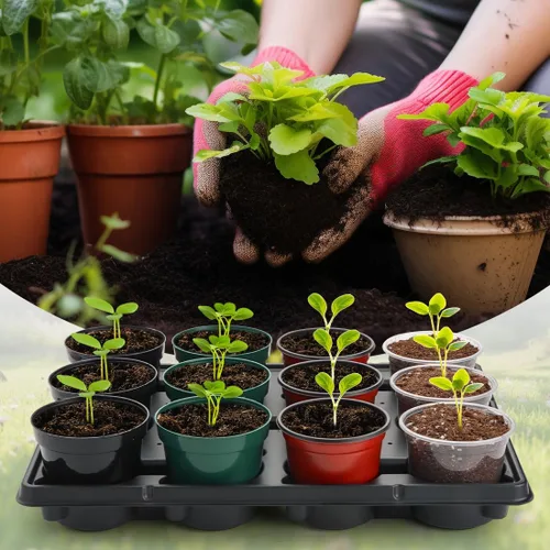 Miniatura 5 de RooTrimmer Bandejas redondas de 12 celdas para macetas de semillero gruesas y duraderas, bandejas de transporte para sostener macetas de 4 pulgadas