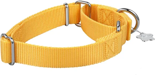 Miniatura 2 de Martingale - Collar para perro, diseño a prueba de fugas y antideslizante, nailon resistente con hebilla de metal, ajustable para perros pequeños