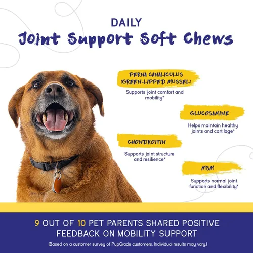 Miniatura 5 de PupGrade Suplemento de apoyo articular para perros, glucosamina condroitina natural con MSM, alivio del dolor de cadera y articulaciones