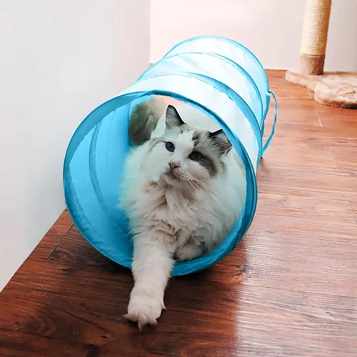 iCAGY Túnel interactivo para gatos de interior, juguetes de túnel de conejo, juguetes para mascotas, túneles de juego para gatos, gatitos, conejos,