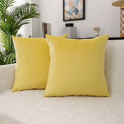 MoonRest - Juego de 2 fundas de almohada decorativas de terciopelo, suaves y acogedoras con cremallera oculta de color sólido para sofá, dormitorio,