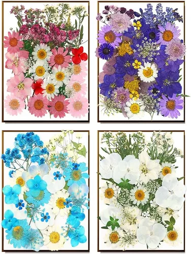 Miniatura 7 de Más de 170 pétalos de hojas de flores secas prensadas para manualidades, hermosas flores prensadas margaritas para joyas de resina, flores Color-a
