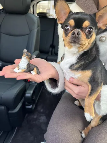 Miniatura 2 de 1 mini estatuilla de resina de Chihuahua de 2 pulgadas, mini regalos conmemorativos para perros, figuras de perro, decoración de automóvil, Negro