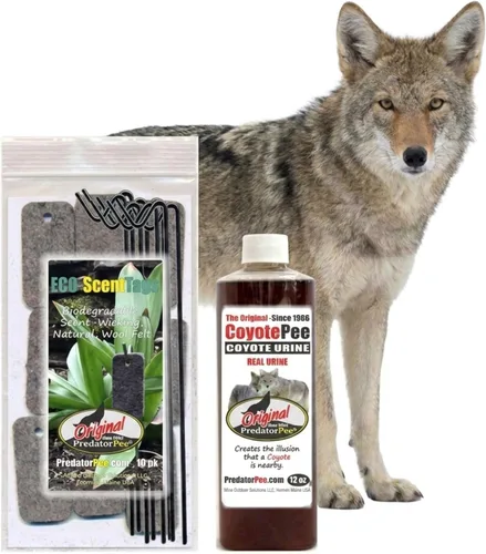PredatorPee Aroma de marca territorial de orina de coyote 100% para uso en exteriores, crea ilusión de presencia de depredadores para ciervos,