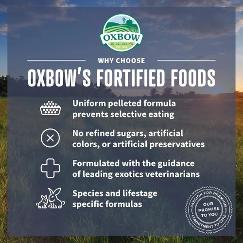 Miniatura 4 de Oxbow Essentials Alimento para Conejos, Joven, Hecho de Alfalfa para Conejos, Pellets para Mascotas con Vitaminas y Minerales, Productos