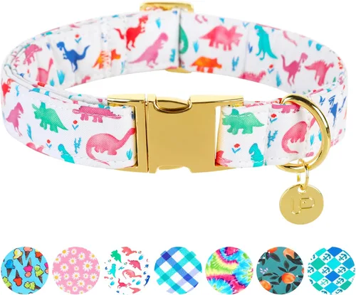 Collar de perro de algodón de dinosaurio con hebilla de metal, collar de regalo para niñas o niños pequeños, medianos y grandes, lindos collares