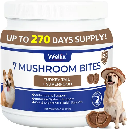 Miniatura 10 de 260 Bites - Hongo de cola de pavo para perros, inmune, intestino, piel, salud de las articulaciones, suplemento de hongos para perros - Cola de pavo