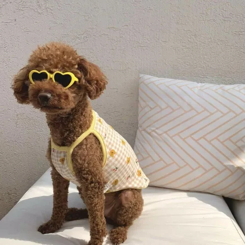 Miniatura 3 de Lentes de sol morados con forma de corazón para mascotas, accesorios para fotos, lindos lentes de sol para perros, gafas de sol, flores, decoración