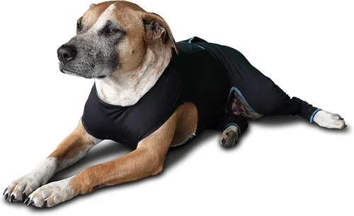 Miniatura 4 de BENEFAB Traje terapéutico cómodo para perros — Chaqueta ligera de infrarrojo lejano para caninos de todas las edades — Traje de compresión relajante