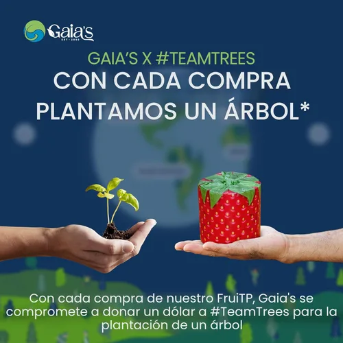 Miniatura 3 de Gaia's Premium y suave papel higiénico de bambú orgánico con aroma a fruta 12 mega rollos, 3 capas, 370 hojas Certificado FSC, libre de PFAS