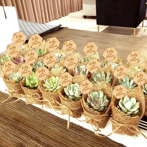 Miniatura 2 de Parbee - Etiquetas hexagonales «Baby in Bloom» ecuerdos de baby shower, 20 etiquetas para suculentas, regalos de madera, estacas para jardín
