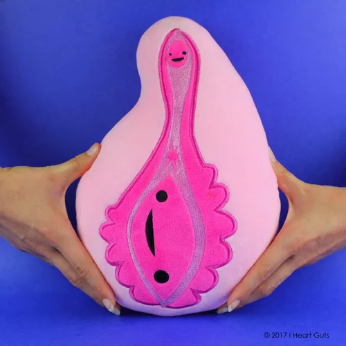 Miniatura 4 de I Heart Guts Bolsa de peluche con cremallera de vagina, juguete educativo de 9.5 pulgadas para el parto y la salud pélvica, divertido regalo