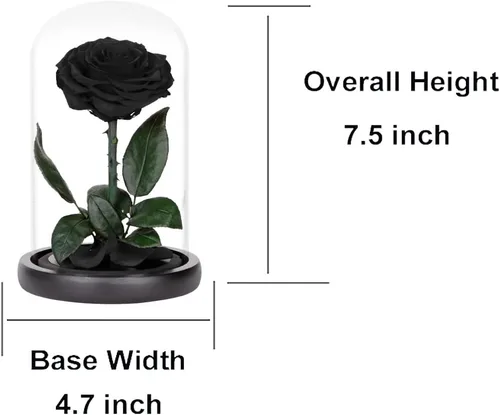 Miniatura 2 de Rosas preservadas, rosas negras en cúpula de cristal, medianas, flores preservadas para el día de la madre, regalos para mujeres
