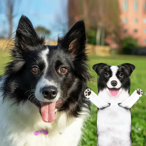 Miniatura 3 de AGRIMONY Border Collie - Divertidas toallas de mano para cocina, baño, perro, mamá, papá, regalos para mujeres, hombres, adolescentes, niños